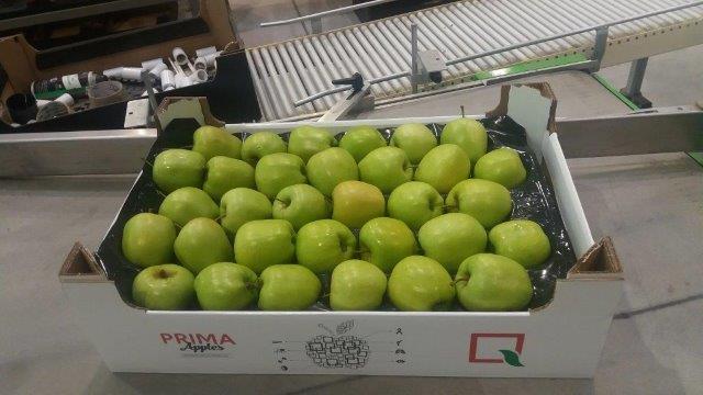 Prima 2000 alma-körte-szilva gyümölcsök zöldségek 13