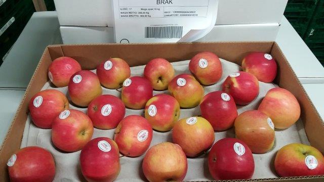Prima 2000 alma-körte-szilva gyümölcsök zöldségek 12
